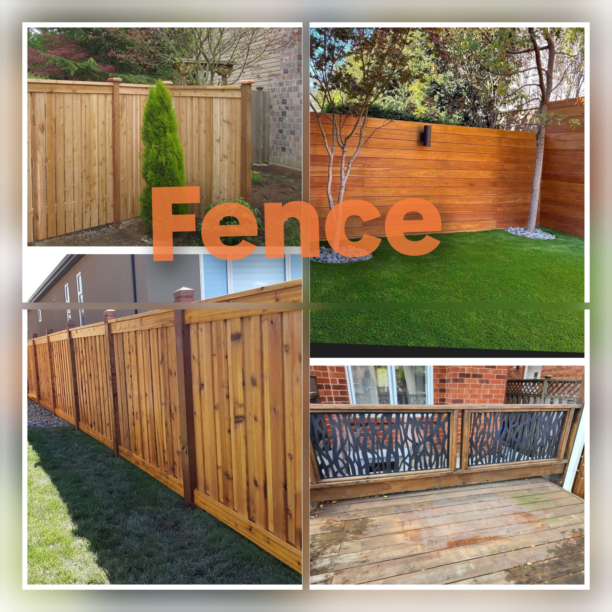 WhatsApp Image 2026-03-24 at 2.47.45 AM